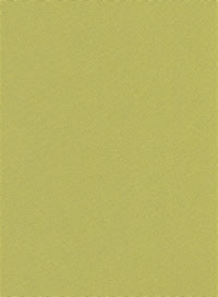 Pistache-56